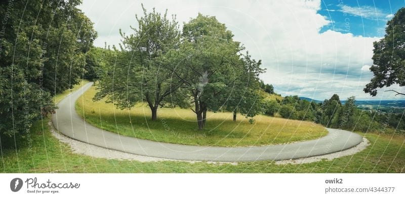 Walberla Landschaft draußen Natur Straße Kurve Serpentine elegant Asphalt Straßenrand schmal eng Höhenunterschied Bäume Wiese Horizont Weite Weitblick Wald