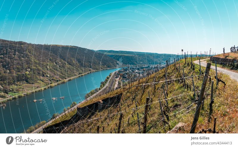 Wine Hille - River Mosel and blue sky - Rhineland - Germany winehill wine hill mosel rhine rhinland germany view no clouds high mountain mountain high green