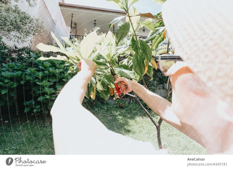 Gartenarbeit und Menschen Konzept - glückliche ältere Frau Pflanzung Blumen im Sommer Garten Pflege Beteiligung Beginn umgebungsbedingt wachsen Wachstum