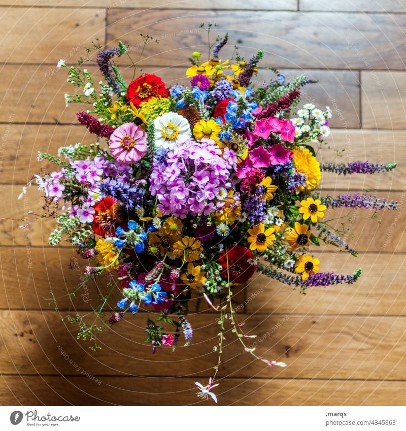 Danke danke schön Blumenstrauß bunt Wildblumen Parkettboden Muttertag Geschenk Liebe Geburtstag Valentinstag schenken Dankesstrauß Vogelperspektive oben