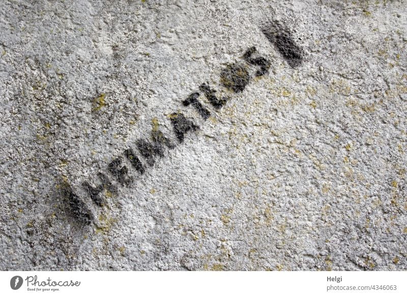 Schriftzug Heimatlos  schwarz gedruckt auf einer grauen Wand Wort Text Schriftzeichen Buchstaben Menschenleer Typographie Kommunikation Mitteilung Kommunizieren