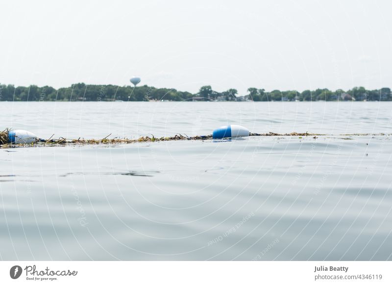 Boje und Seilsperre schwimmen auf der Oberfläche eines Sees; Bäume und Wasserturm im Hintergrund Seegras Pflanze invasiv Schwimmer Sicherheit Barriere