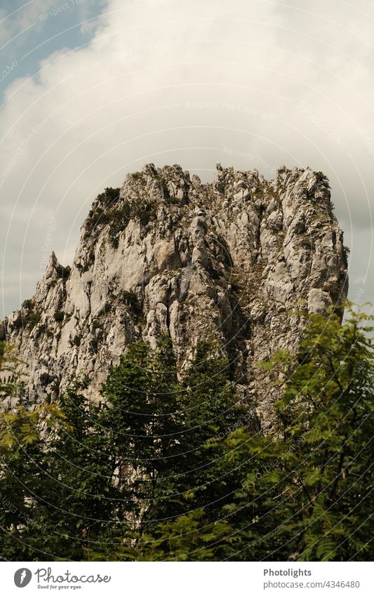 Fels im Gebiet der Kampenwand im Chiemgau Berg Gipfel Wald Bäume Tal Blick Landschaft Berge u. Gebirge Himmel Natur Alpen Felsen Außenaufnahme Farbfoto Tag