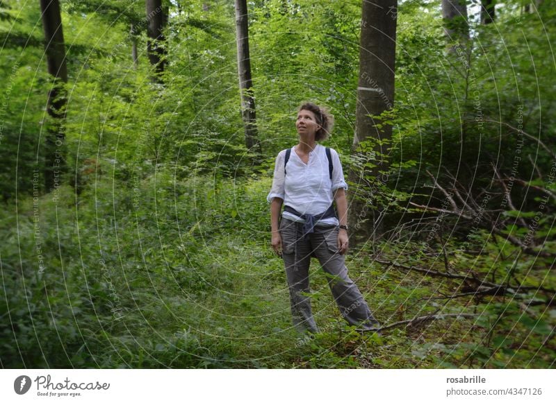 Frau beim Wandern im Wald | naturverbunden Tag Lebensfreude positiv natürlich schön Fröhlichkeit Lächeln genießen Erwachsene Junge Frau feminin Freiheit