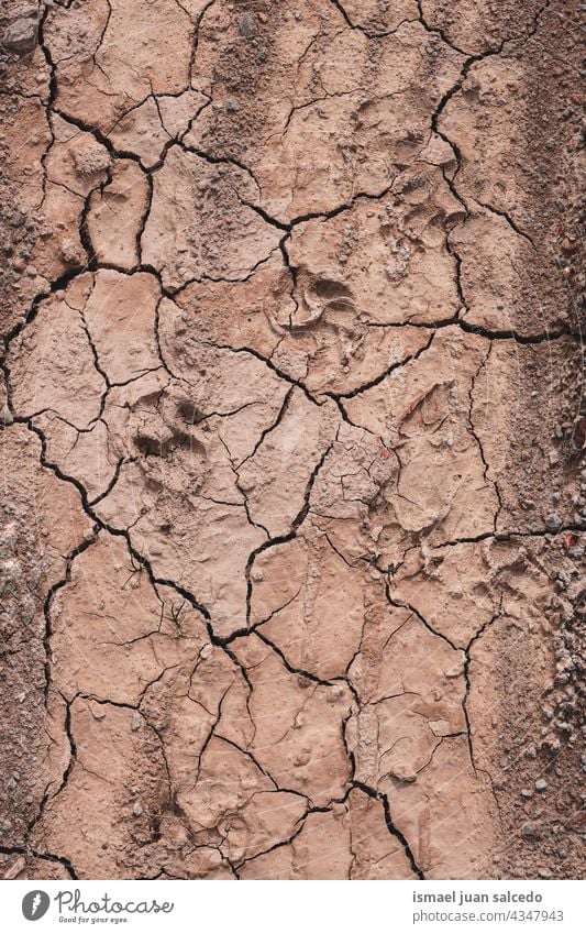 Hundefußabdruck auf Wüstenboden Fußspur Hundefußspur Boden Land trocknen braun texturiert Erde Natur wüst Klima Muster Schmutz trocken Sand Oberfläche Umwelt