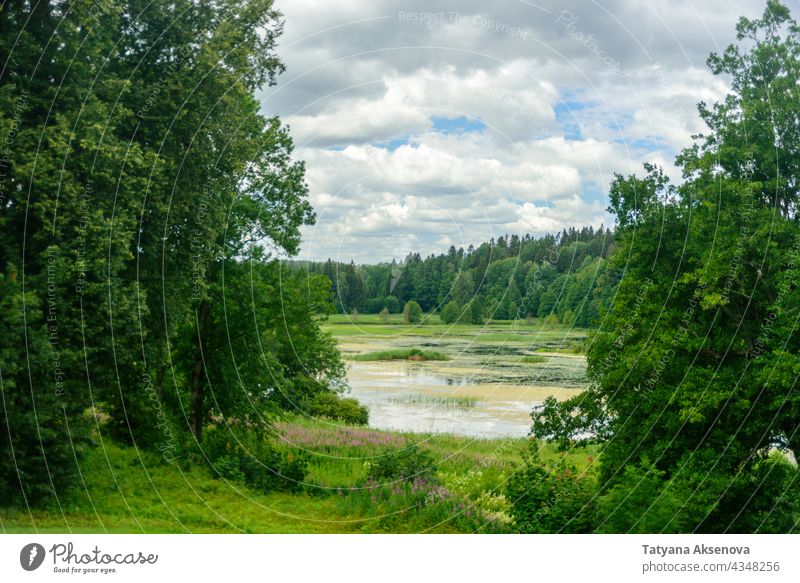 Blick auf einen Waldsee in Estland See Sommer Wasser Baum grün Landschaft Natur Moor im Freien Cloud Umwelt Himmel schön Windstille ruhig idyllisch ländlich