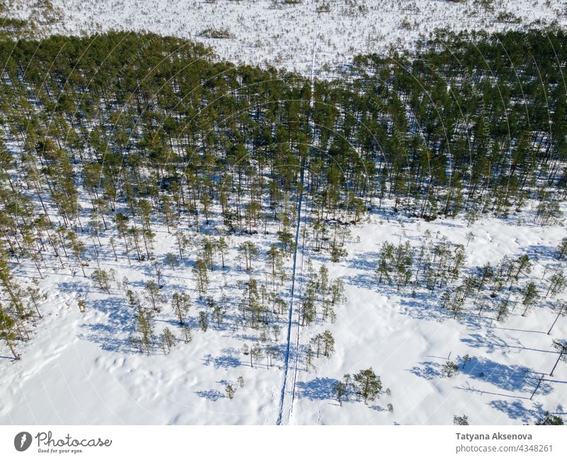 Luftaufnahme von Wintermoor und Wald Moor Schnee Sumpfgebiet Antenne wandern Estland Nachlauf kalt Natur Landschaft Baum im Freien Wetter verschneite Umwelt