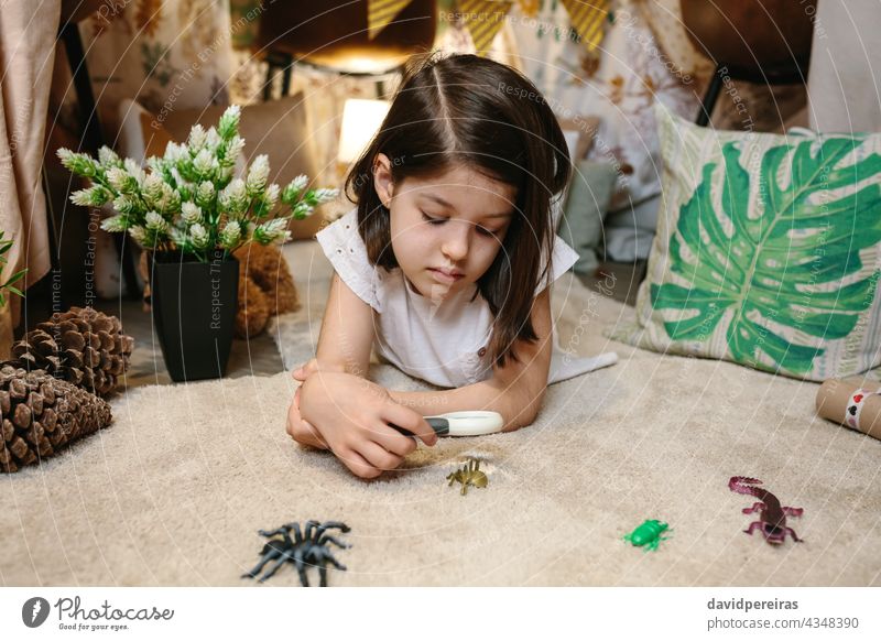 Mädchen spielen beobachten Spielzeug Käfer mit einer Lupe zuschauend Wanze Insekt Spinne Zelt Tipi beobachtend Lügen Kind Bildung Pflanze niedlich erkunden Tier