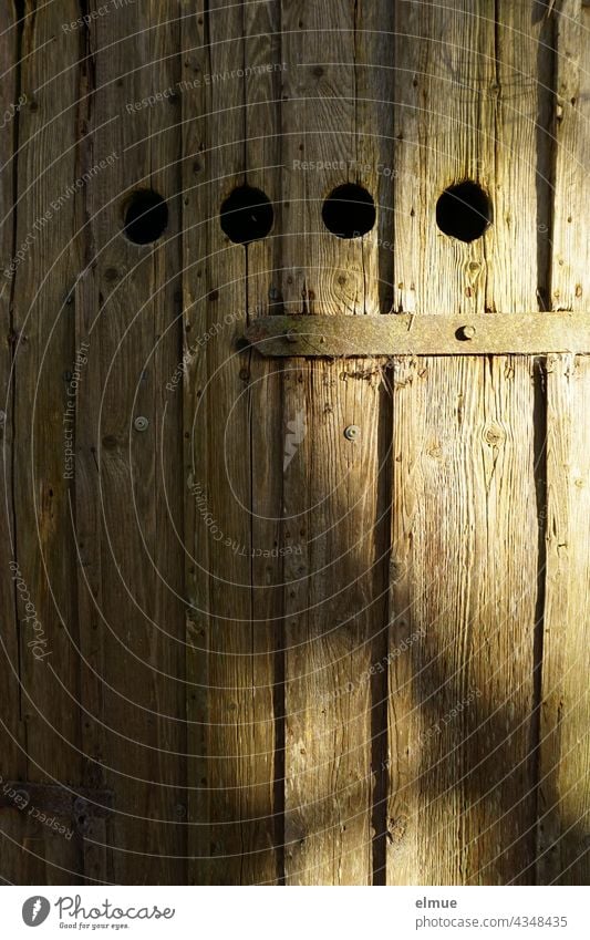 alte Holztür eines Naturkellers mit vier runden Lüftungslöchern, einem Türriegel und einem alten Türbeschlag Erdkeller Lagerraum Öffnung Lüftungsöffnung Loch