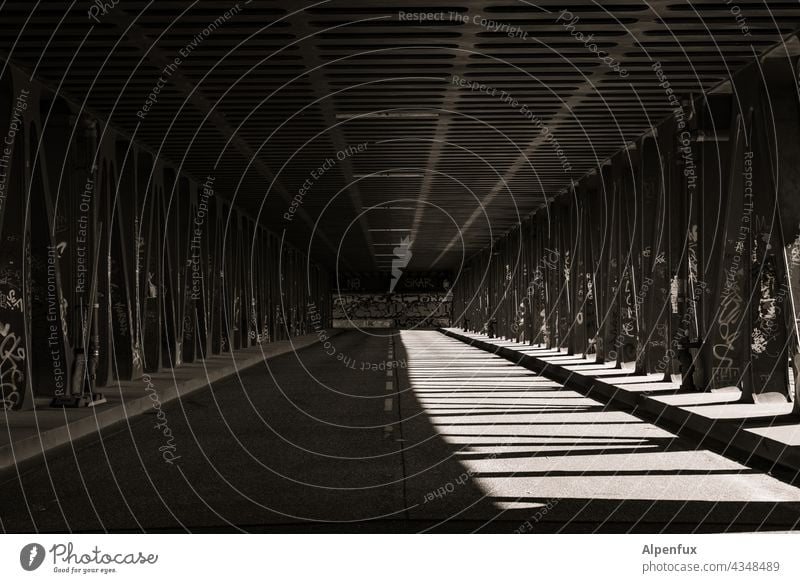 Zwischenräume |sonnig |Parktour HH 21 Sommer Außenaufnahme Menschenleer Sonnenlicht Schatten Schattenspiel Brücke Brückengeländer Architektur Licht Kontrast Tag
