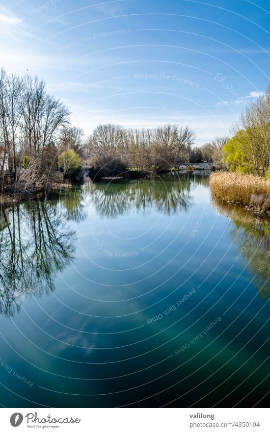 Fluss und Park in Palencia, Spanien Aas Aasfluss kastilisch und leonisch kastilien und leon Europa palencia Spanisch Farbe Umwelt Landschaft natürlich Natur