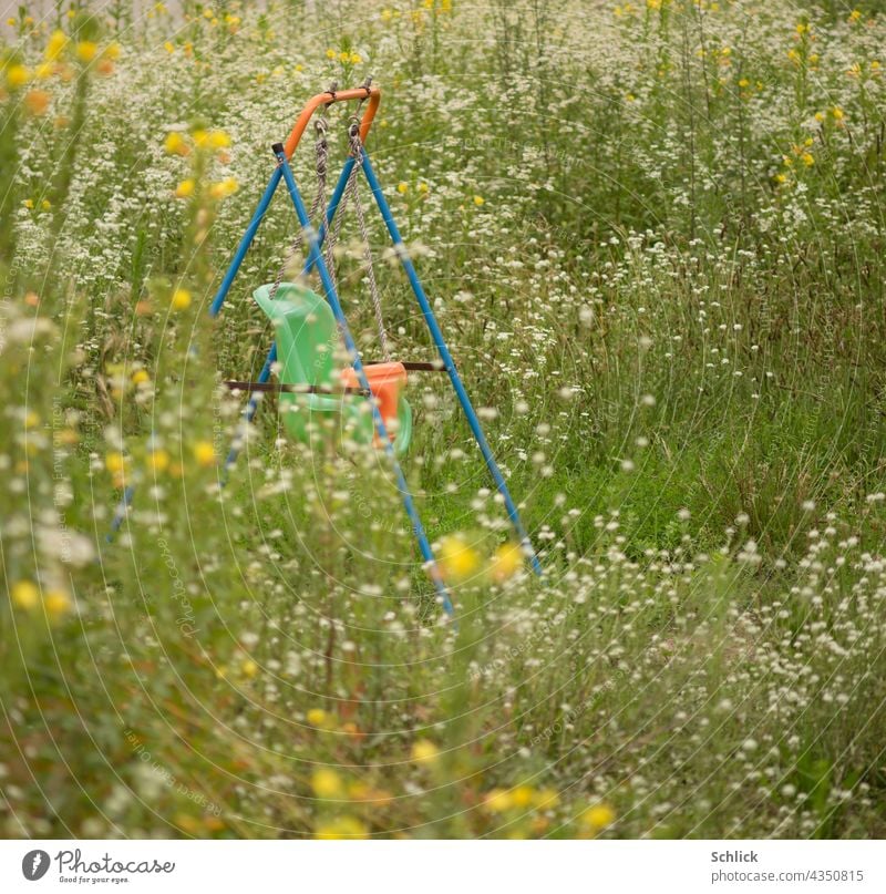 Schaukel aus buntem Plastik für Kleinkinder zwischen vielen Wildblumen Wiese blühen Kindheit grün Sommer Natur Blühend Blumenwiese Wiesenblume sommerlich