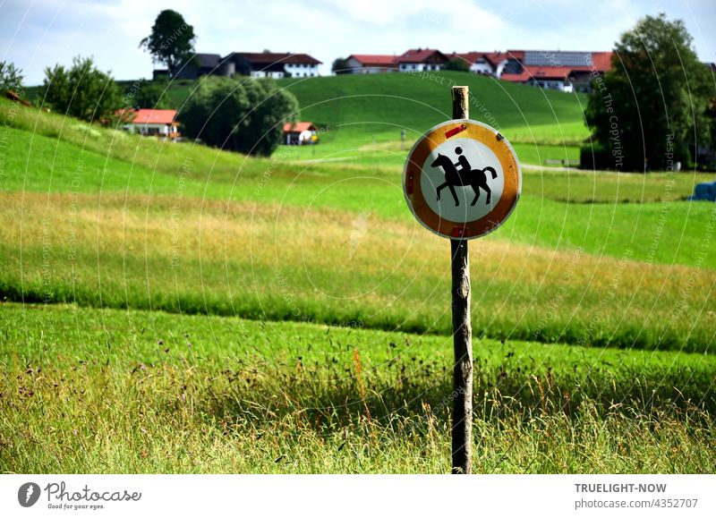 Mitten in meiner Heimat Oberbayern weist ein Verbotsschild für Pferd und Reiter an einem schlanken Holzpfahl darauf hin, dass die sensiblen, oft feuchten Wiesen und Felder Schutz und Pflege brauchen. Stattliche Höfe auf dem Hügel im Hintergrund