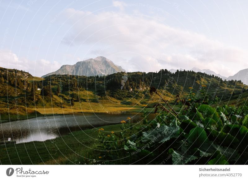 Kalbelesee See Berge u. Gebirge Alpen Österreich Landschaft Natur Außenaufnahme Schönes Wetter Menschenleer Sommer ruhig Wasser Erholung Idylle grün Abend
