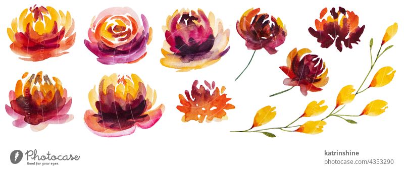 Herbst-Aquarell-Kollektion mit gelben, orangefarbenen und roten Blumen herbstlich Botanik Sammlung vereinzelt Natur Eiche Oktober Pflanze Saison saisonbedingt