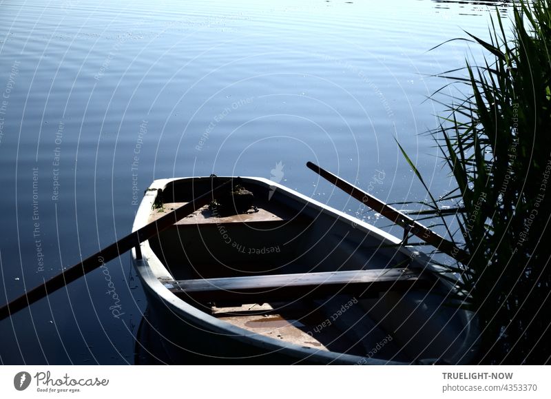 Traditionelles Sommer Flirt Medium - auch gern zum Angeln eingesetzt. Ein altes Ruderboot aus Holz mit eingehängten Rudern liegt einsatzbereit am mit Schilf bewachsenen See Ufer in der Morgensonne