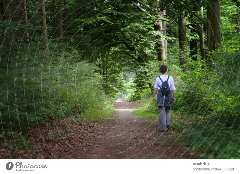 Wanderlust | Frau alleine auf Spaziergang im sommerlichen Wald auf einem Waldweg Ausflug gehen draußen Spaß Sport Freizeitbeschäftigung Hobby Weg Straße Pfad