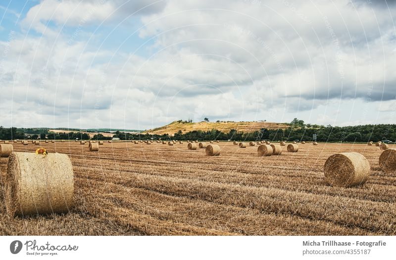 Strohballen auf dem Feld Kornfeld Rundballen gepresst geerntet abgeerntet mähen Landwirtschaft Getreide Getreidefeld Ernte Berge Hügel Himmel Wolken Sonne