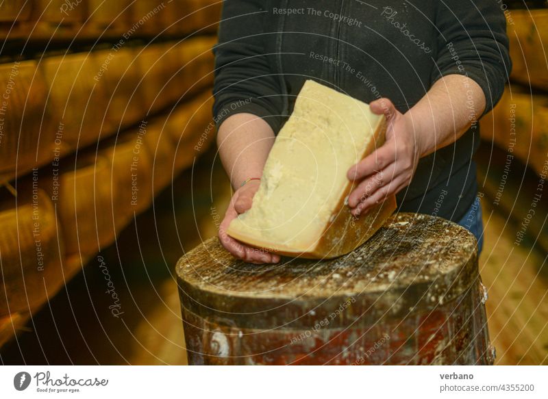 Käsereimeister beim Schneiden eines Parmesankäselaibs im Lager der Käserei - caveau Italien gealtert Holzplatte Business zertifiziert Käsemacher kulinarisch