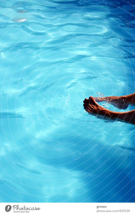 Füße im Swimmingpool Freude schön Freizeit & Hobby Spielen Sport Wassersport Mensch feminin Frau Erwachsene Körper Fuß 1 30-45 Jahre Schwimmen & Baden berühren