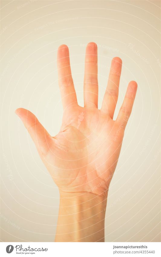 Handfläche Finger Mensch Haut gestikulieren Körperteil Symbole & Metaphern Handgelenk gestikulierend High Five