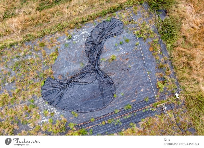 Plastikfolie in der Landwirtschaft Strukturen & Formen Natur nahrungsmittelproduktion Drohnenansicht Menschenleer Vogelperspektive Drohnenaufnahme Drohnenbilder