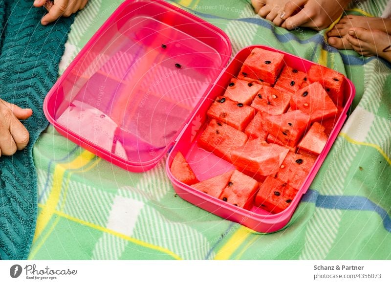 Wassermelonenstücke in roter Plastikbox teilen frisch Picknick Picknickdecke Ausflug Strand Urlaub Sommer Frucht Gesundheit Lebensmittel Farbfoto Außenaufnahme