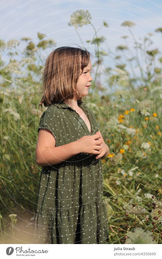 Mädchen im grünen Punktekleid steht in einer Sommerblumenwiese Blumen Blumenwiese Kleid Pünktchenmuster schick Kragen sommerlich Kindheit Kindergarten Mode