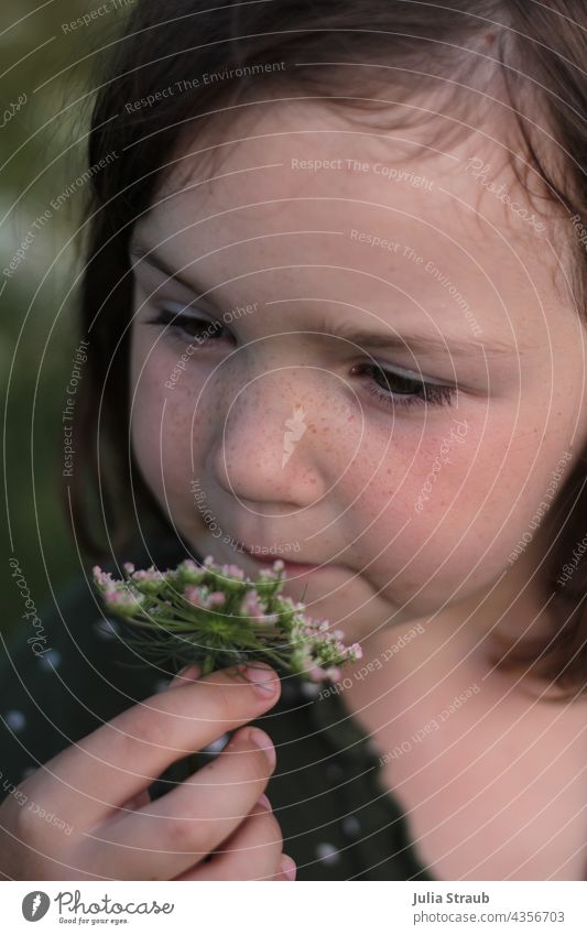 Mädchen mit Sommersprossen riecht an an einer Blume Wilde Möhrenblüte grün grüne augen süß niedlich sommerlich Sommerlaune hübsch Hand halten Blüte riechen