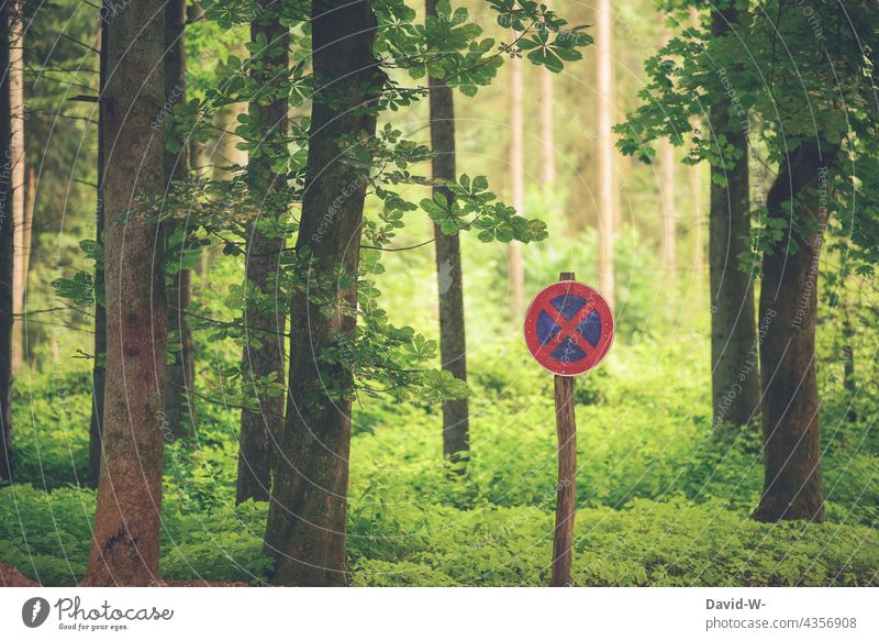 Halteverbot im Wald Natur Umweltschutz Zeichen Schutz schützen Schilder & Markierungen Klimaschutz konzept Bäume