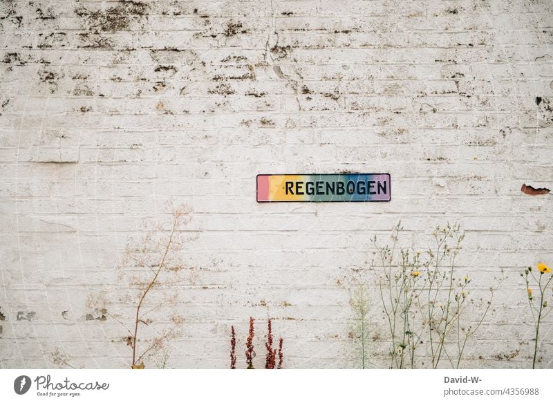 Schild auf einer Mauer mit dem Aufdruck Regenbogen regenbogenfarben Vielfalt Toleranz Gleichstellung Freiheit Gemeinschaft