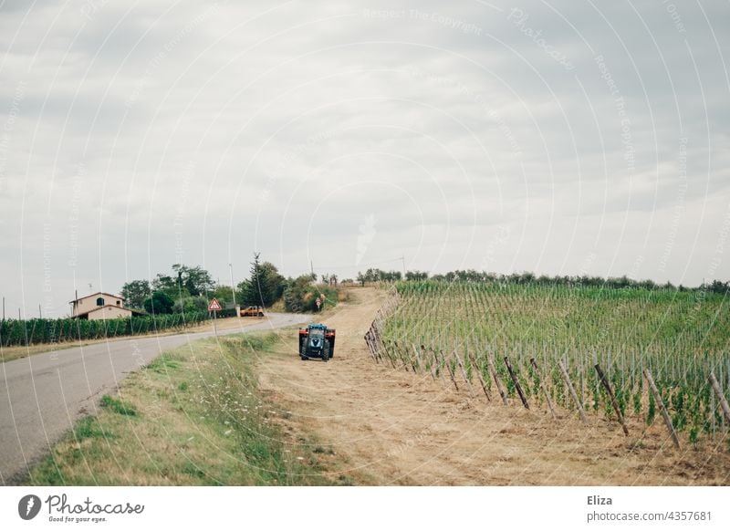 Ein Traktor neben einem Weinberg in der toskanischen Landschaft Toskana Weinbau Italien bewölkt ländlich Weingut Landstraße grün Himmel grauer Himmel
