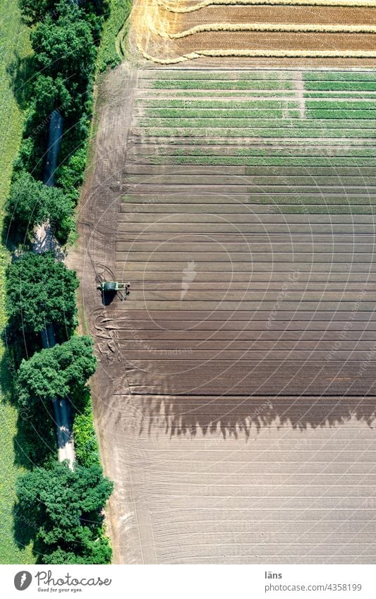 Landwirtschaftliche Anbaufläche Bewässerung Vogelperspektive Menschenleer Ackerland Wasser Sommer nass Linien Außenaufnahme Drohnenansicht Farbfoto gestreift