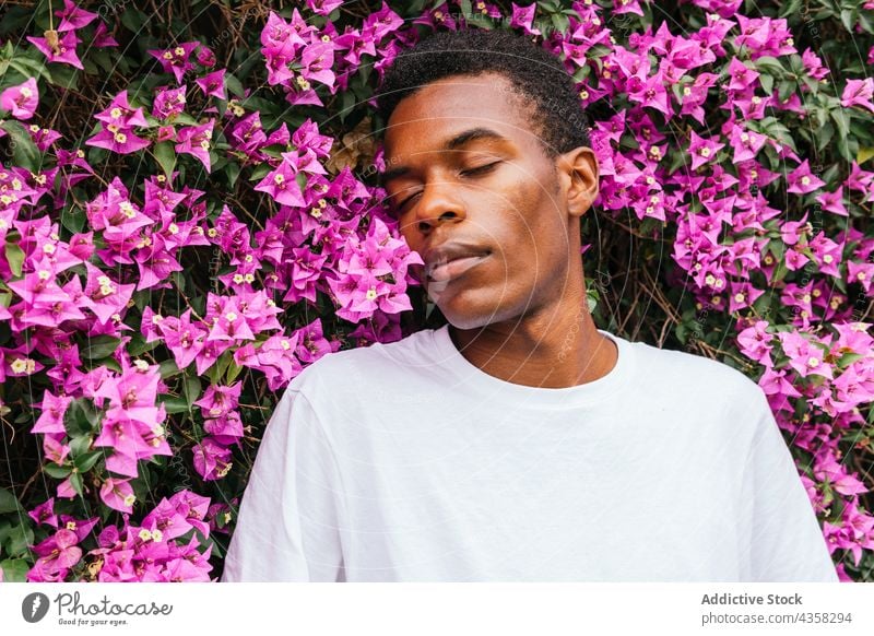 Verträumter schwarzer Mann riecht an Blumen im Garten Wittern riechen sorgenfrei verträumt genießen Schniefen Blütezeit männlich ethnisch Afroamerikaner