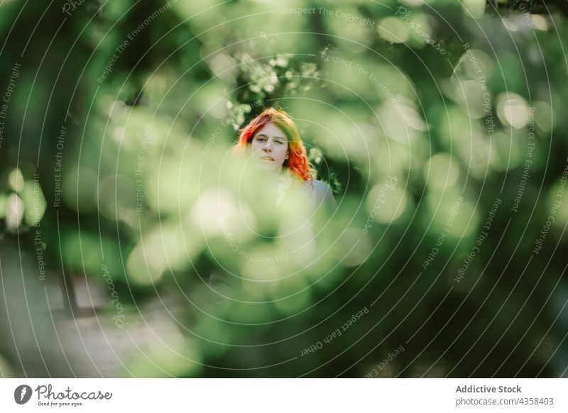 Unbekümmerte Frau mit rotem Haar entspannt sich im Garten sorgenfrei Park verträumt Kälte Angebot sich[Akk] entspannen Zen Sommer Rotschopf Ingwer Natur