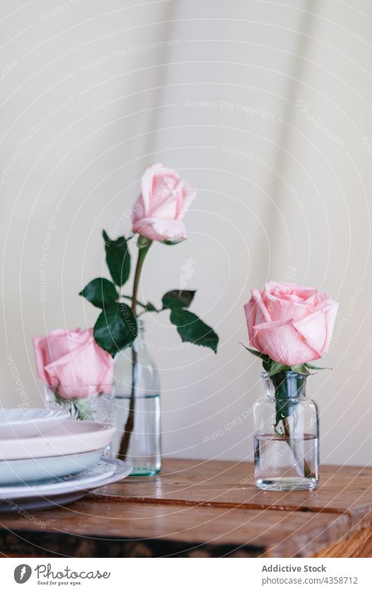 Rosa natürliche Rosen auf Vase Roséwein Blume rosa geblümt Dekoration & Verzierung Blumenstrauß Glas Blüte Schönheit Natur weiß romantisch Romantik Sommer Farbe