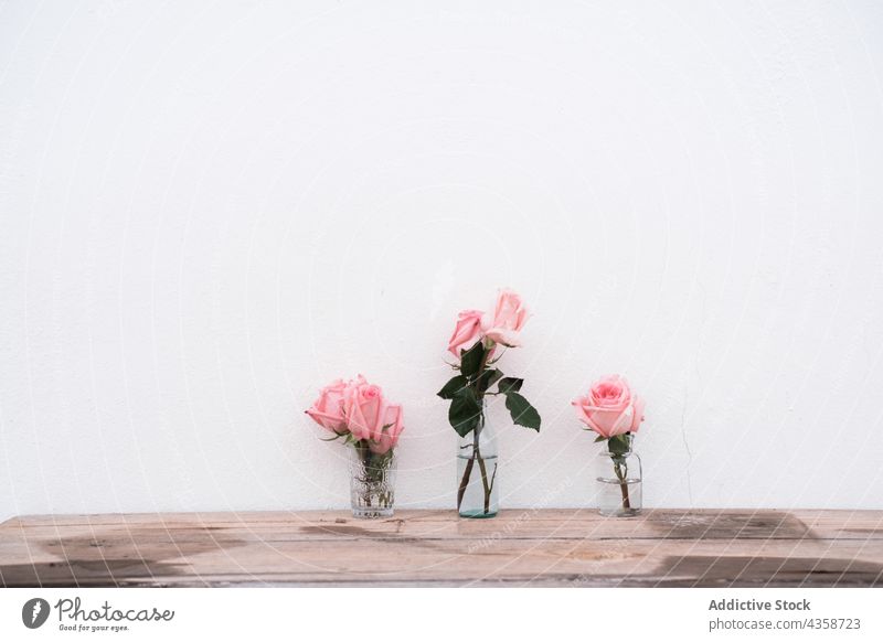 Rosa natürliche Rosen auf Vase Roséwein Blume rosa geblümt Dekoration & Verzierung Blumenstrauß Glas Blüte Schönheit Natur weiß romantisch Romantik Sommer Farbe