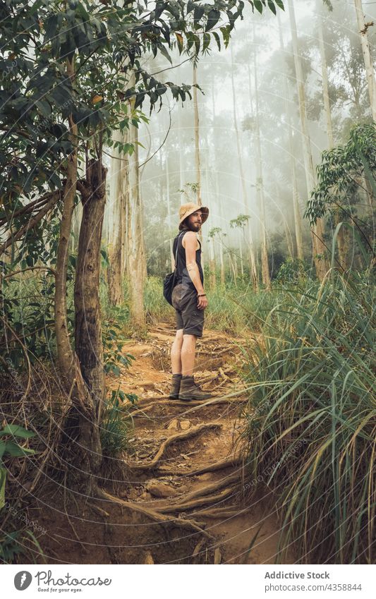 Reisender Mann im nebligen tropischen Wald Nebel Sommer exotisch Wälder reisen männlich Natur Urlaub Tourismus Tourist Hut erkunden Abenteuer Baum Feiertag