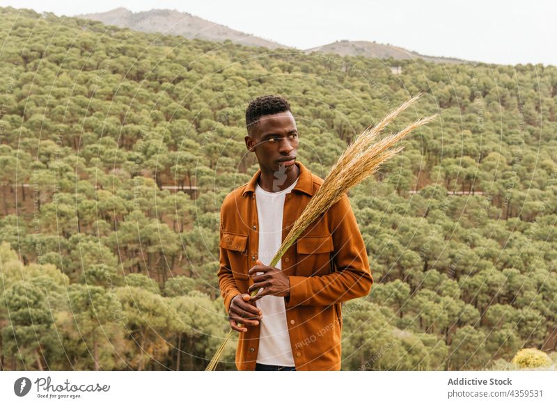 Schwarzer Mann mit Weizenbündel in der Natur Haufen natürlich getrocknet organisch Ackerbau Pflanze Sommer männlich ethnisch schwarz Afroamerikaner ernst
