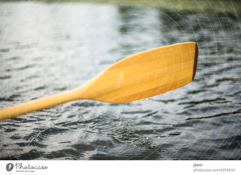 Ein Paddel kommt bei der Kanufahrt aus dem Wasser, die Wassertropfen fallen hinunter Paddeln Holz holzpaddel Kanutour Wassersport Wasseroberfläche Tropfen nass