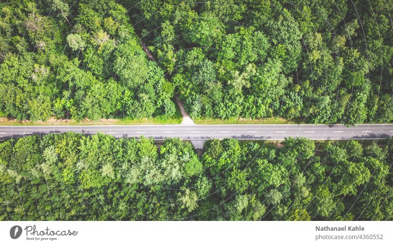 Straße die durch ejnen sommerlichen Wald führt aus Vogelperspektive Drone Luftaufnahme Farbfoto Natur landscape Landschaft Sommer Grün Warm Sonne Menschenleer