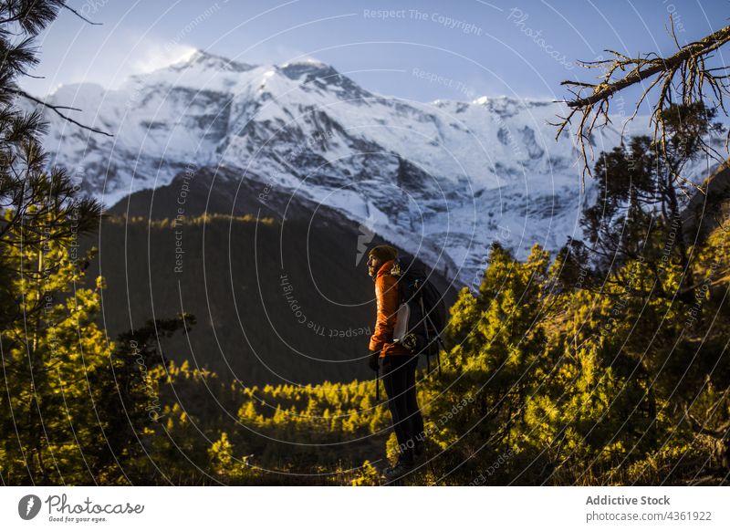 Männlicher Reisender bewundert die Landschaft des Waldes und des felsigen Bergrückens an einem sonnigen Tag Berge u. Gebirge Kamm Schnee nadelhaltig Tal