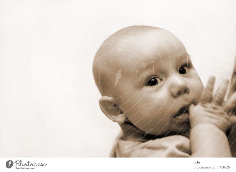 was guckst du Kind Kleinkind Baby Hand Gesicht Auge Kopf Blick Sepia
