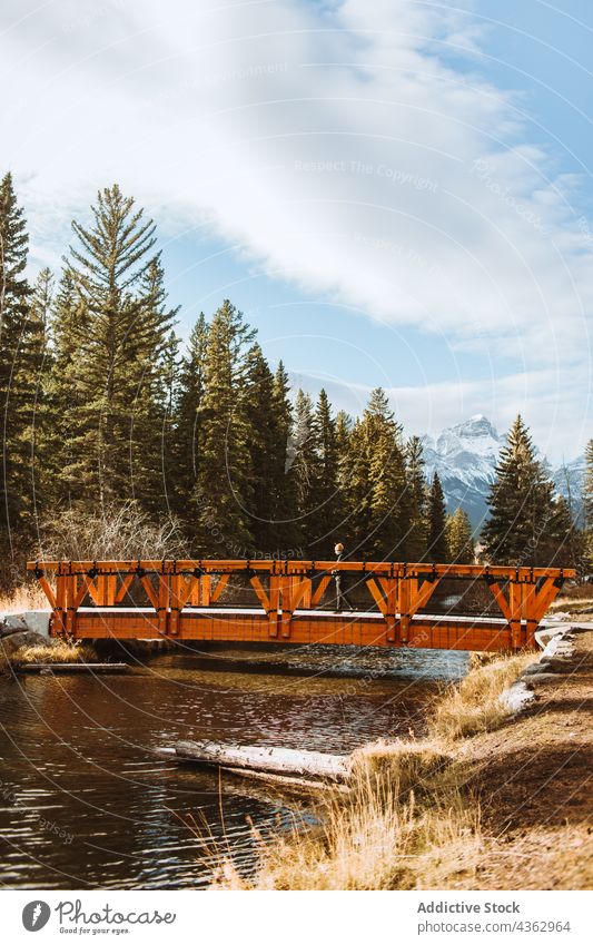 Reisende stehen auf einer Brücke über einen Fluss im bewaldeten Hochland Reisender Steg Berge u. Gebirge Wald Natur Landschaft Herbst allein Umwelt Fernweh