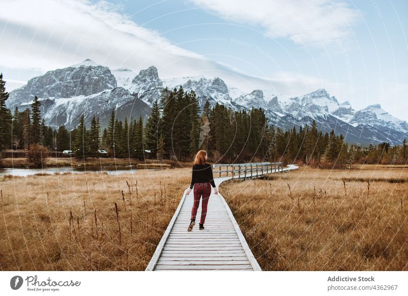 Anonyme Frau, die auf einem Holzweg in der Nähe von Wald und verschneiten Bergen spazieren geht Promenade Tal Berge u. Gebirge Natur Reisender Landschaft Weg