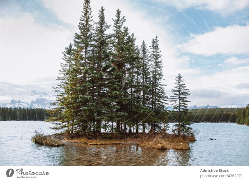 Insel mit Nadelbäumen im See Baum Inselchen Natur nadelhaltig Ufer Wasser Wachstum Himmel wolkig Alberta Kanada Banff National Park Landschaft malerisch Saison