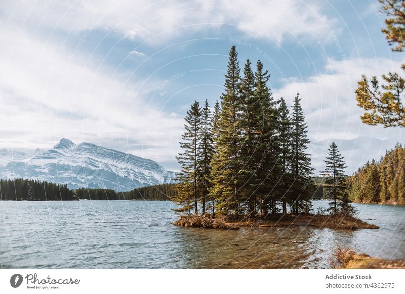 Insel mit Nadelbäumen im See Baum Inselchen Natur nadelhaltig Ufer Wasser Wachstum Himmel wolkig Alberta Kanada Banff National Park Landschaft malerisch Saison