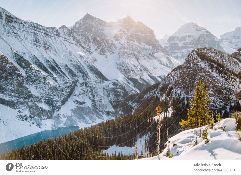 Verschneite Berge in der Nähe eines Sees in der Natur Berge u. Gebirge Wald Schnee Winter sonnig tagsüber Landschaft Kamm Lake Luise Banff National Park Alberta
