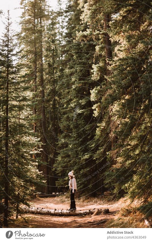 Wanderin im Nadelwald stehend Reisender Spaziergang Wald Natur erkunden Weg Baum nadelhaltig Abenteuer Landschaft Alberta Kofferraum Kanada Mondsichelfälle