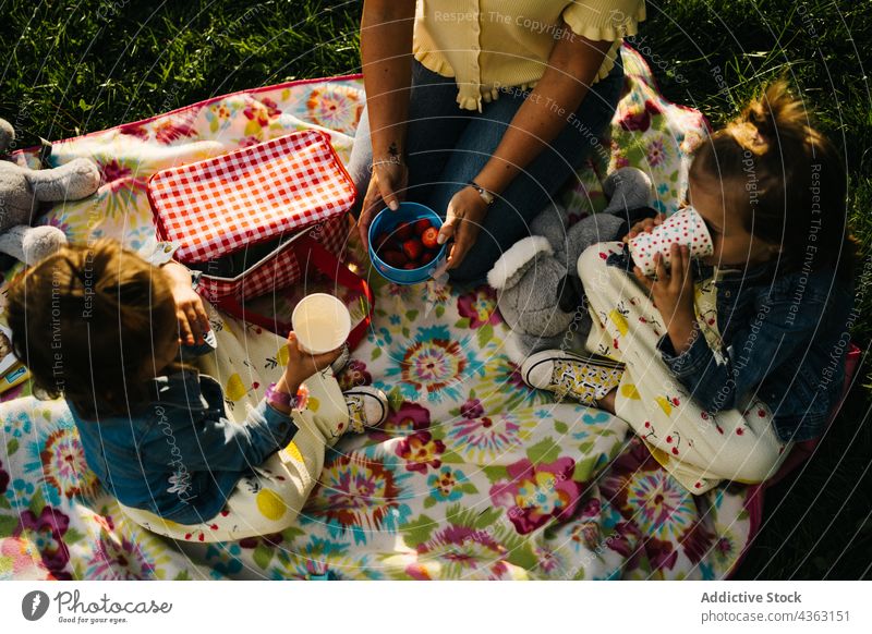 Von oben fröhliche Mutter und Kinder beim Picknick im Park Zusammensein Sommer Glück Liebe Tochter Geschwisterkind trinken Tasse Mama Partnerschaft wenig